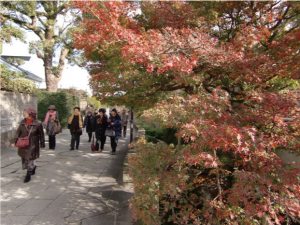 20151127研修旅行花さくらの集い7